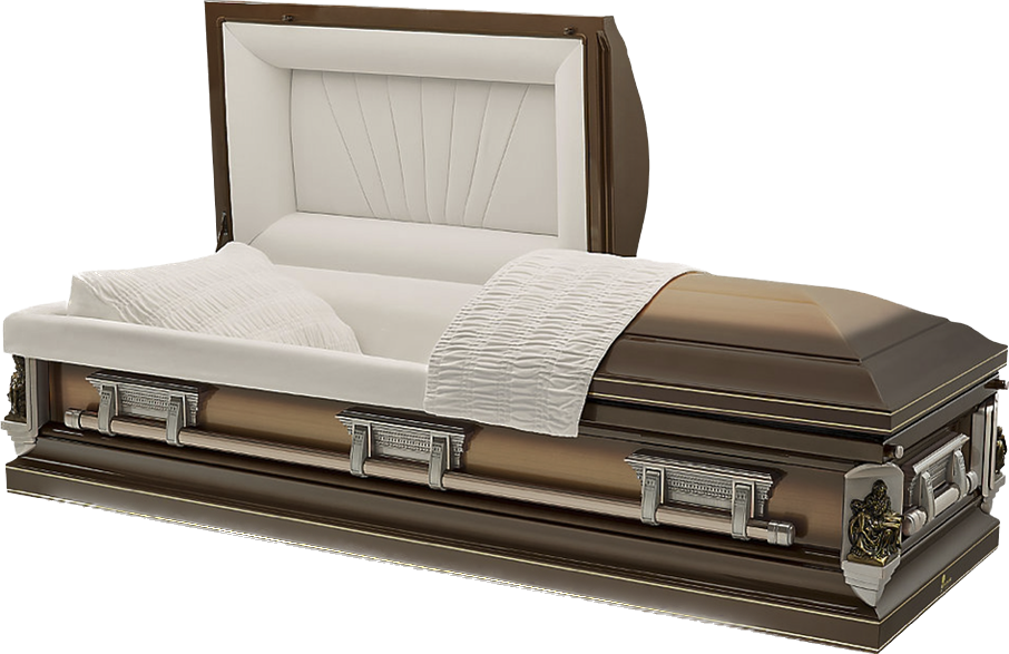 Bronze Desert Bronze Casket