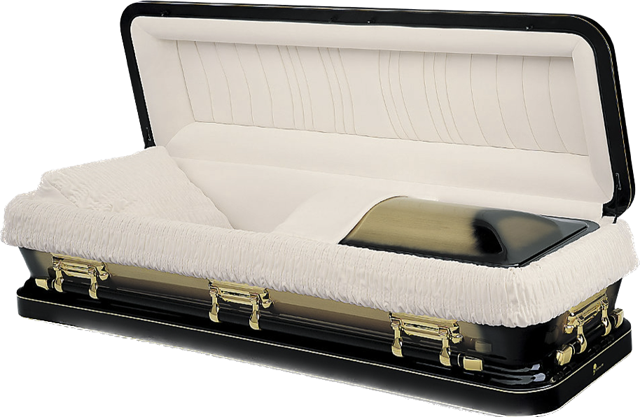 Bronze Power Gold Casket
